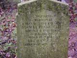 image of grave number 795304